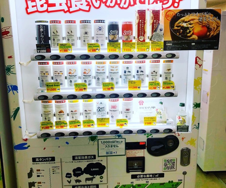Insects Vending Machine Strange Japanese Vending Machines: Insect Edition – Tokyo Dreamlife