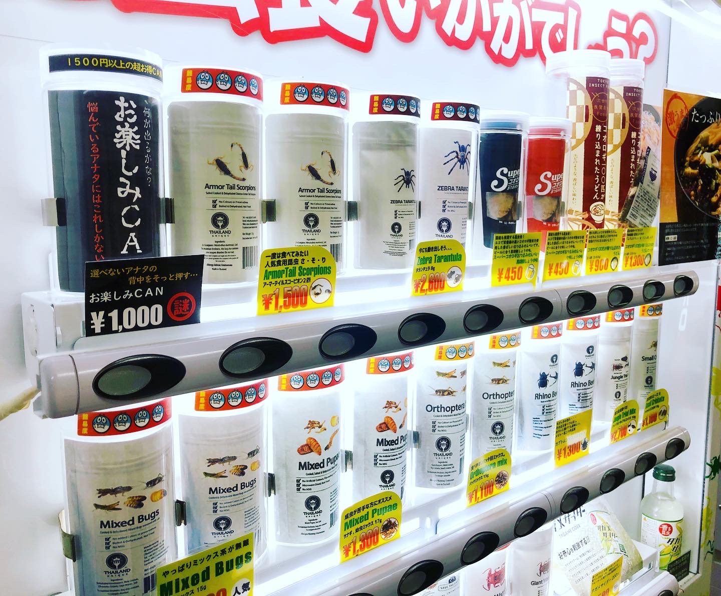 Insects Vending Machine Strange Japanese Vending Machines: Insect Edition – Tokyo Dreamlife