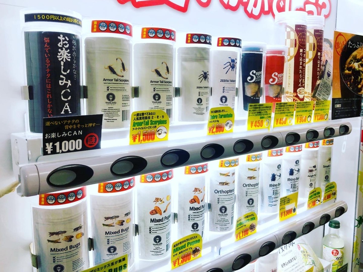 Strange Japanese Vending Machines: Insect&nbsp;Edition