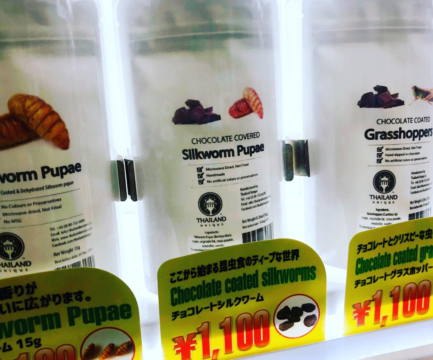 Insects Vending Machine Strange Japanese Vending Machines: Insect Edition – Tokyo Dreamlife